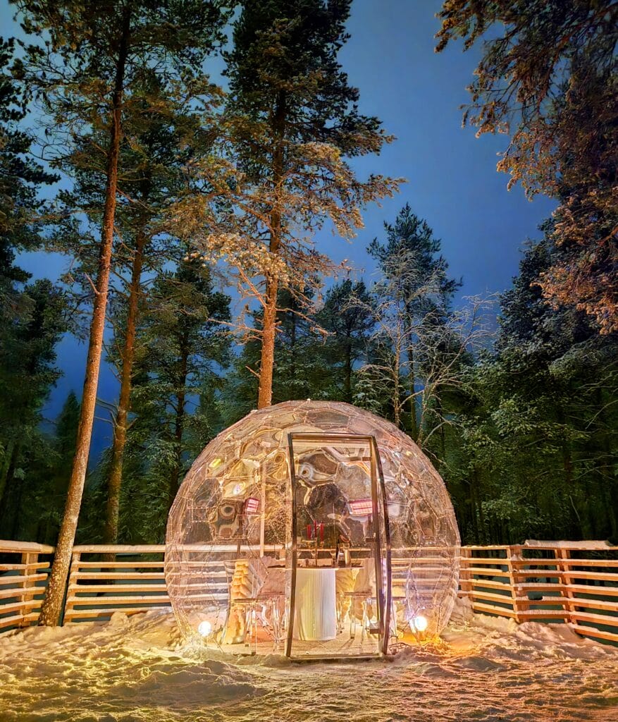 Aurora Dome in the snowy forest