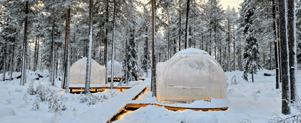 Aurora Igloo dinner winter