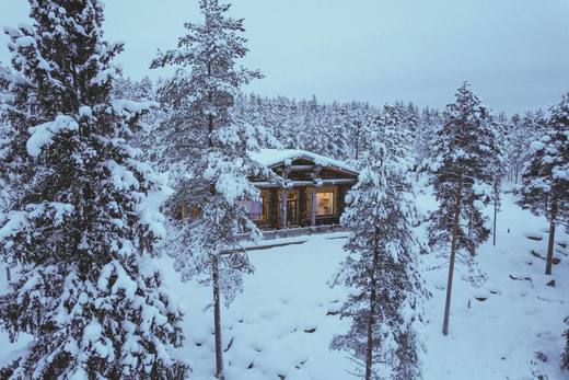 Luxury Log Villa from above