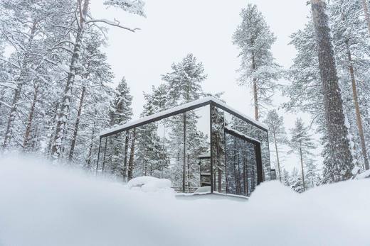 Invisible Suite mirrored in the snowy forest