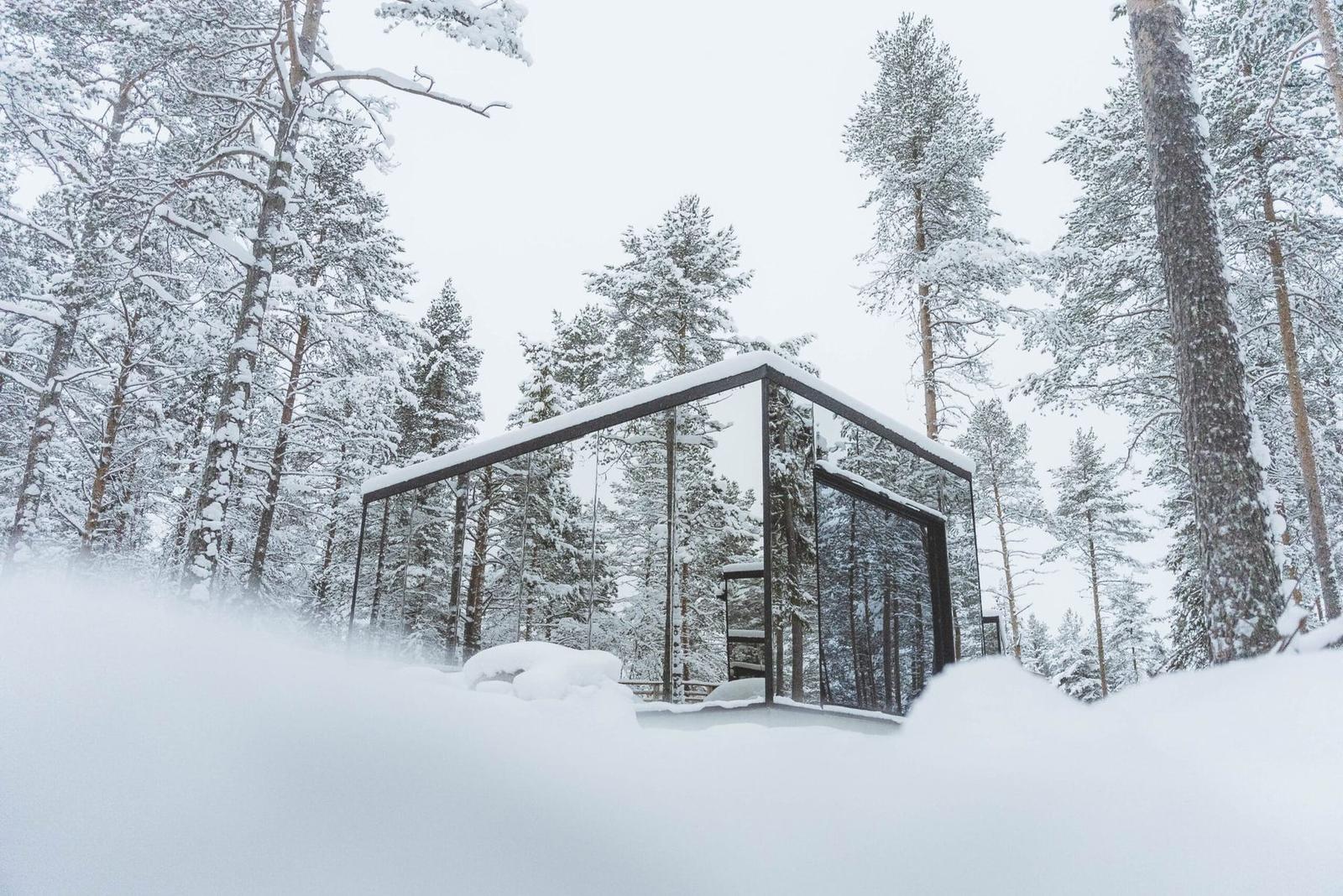 Mirrored suite hidden in the snow-covered forest
