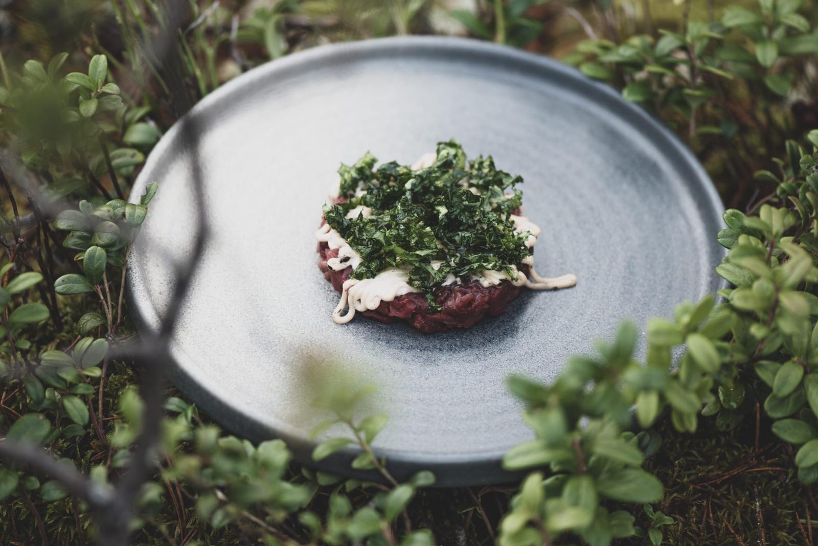 Invisible Restaurant at Invisible Forest Lodge