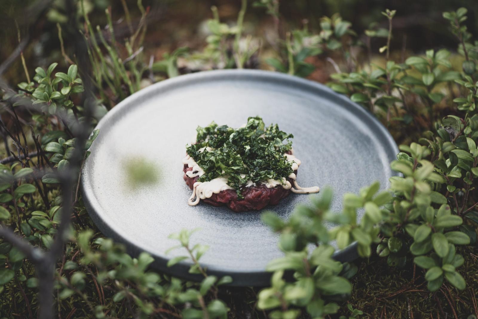 Invisible Restaurant at Invisible Forest Lodge