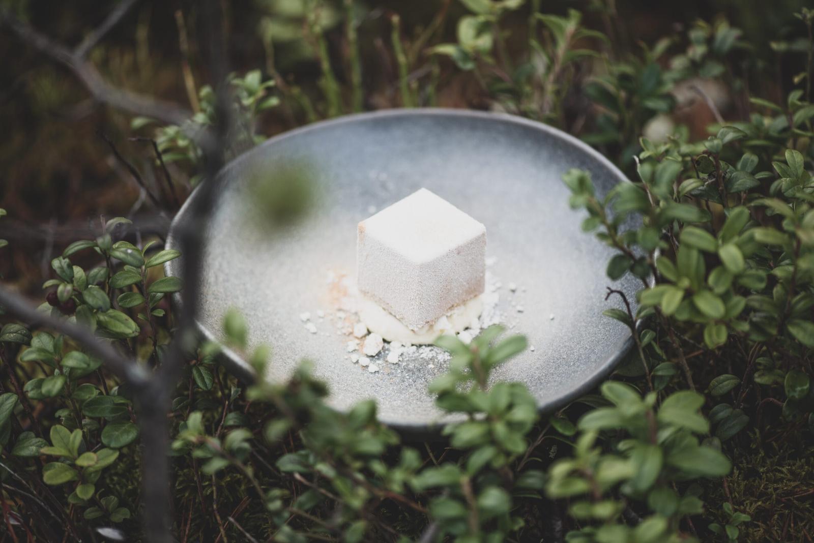 Invisible Restaurant at Invisible Forest Lodge