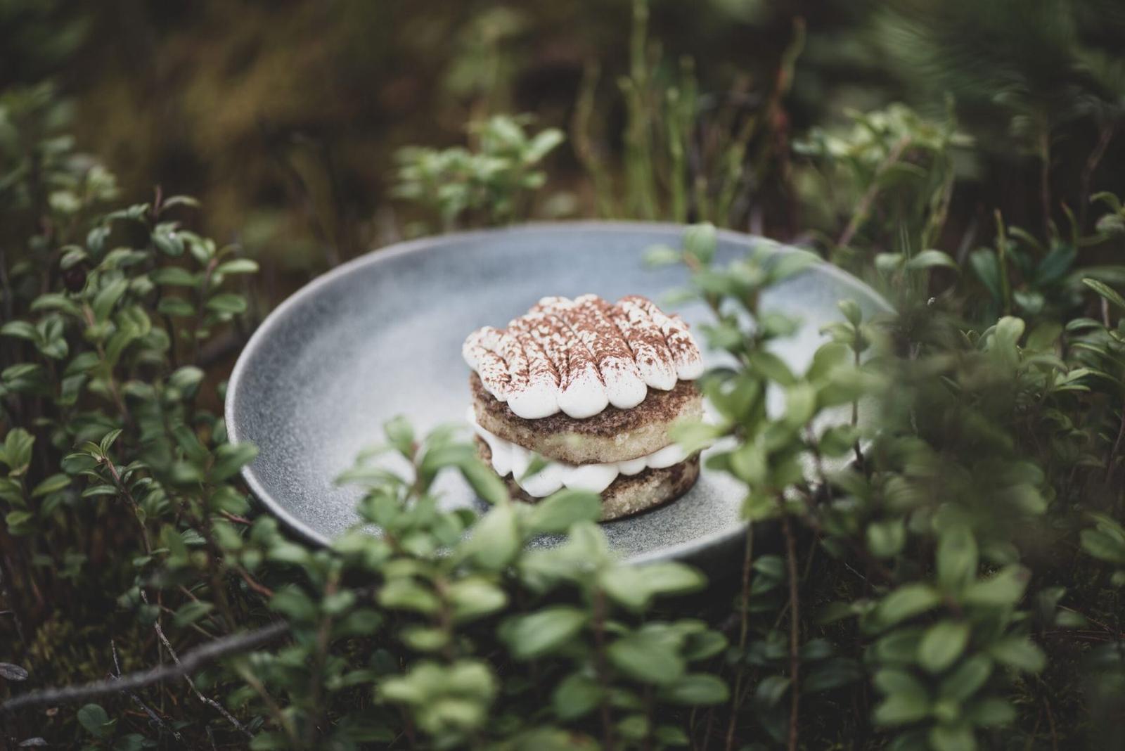 Dessert plated in the forest