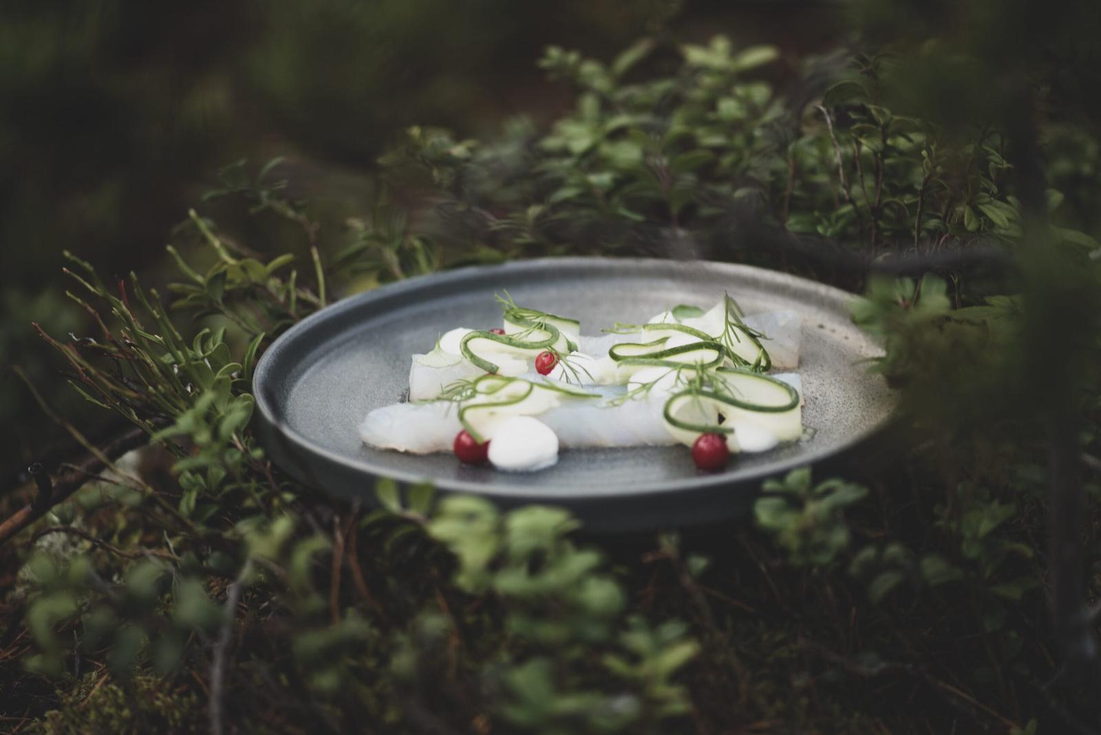 Invisible Restaurant at Invisible Forest Lodge