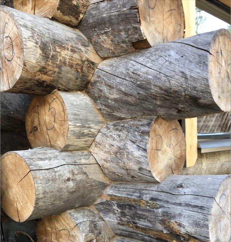 Luxury Log Villa — the log walls